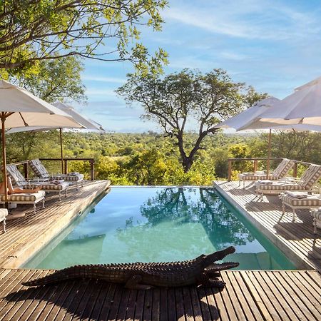 Simbavati Hilltop Lodge Timbavati Doğa Koruma Alanı Dış mekan fotoğraf