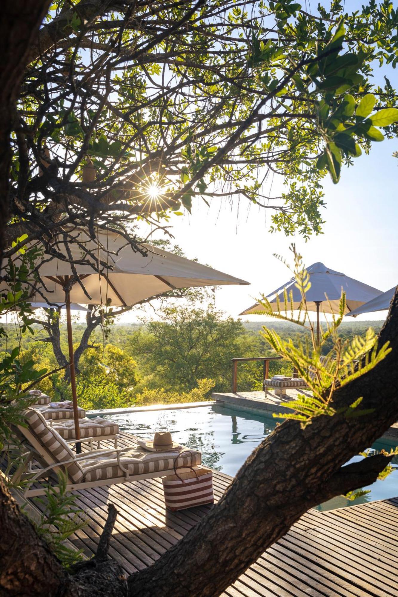 Simbavati Hilltop Lodge Timbavati Doğa Koruma Alanı Dış mekan fotoğraf