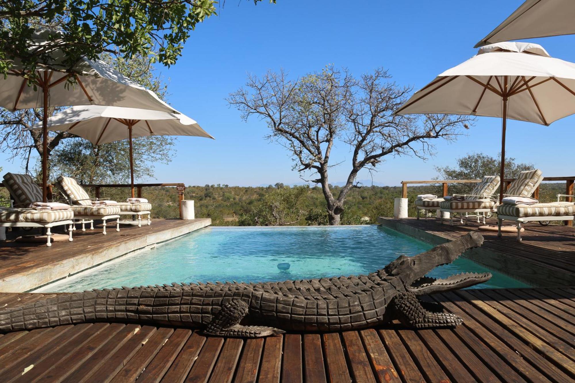 Simbavati Hilltop Lodge Timbavati Doğa Koruma Alanı Dış mekan fotoğraf