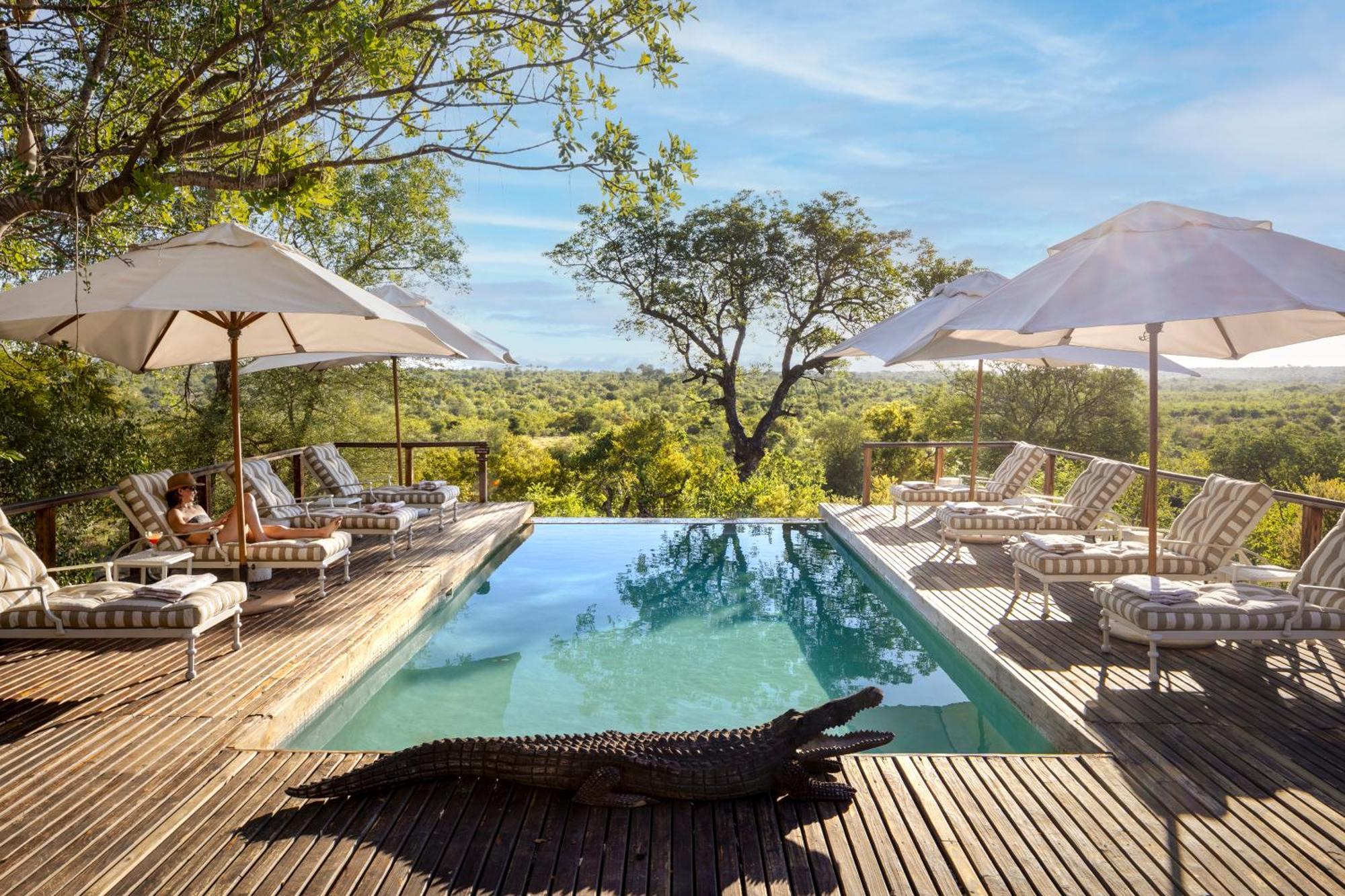 Simbavati Hilltop Lodge Timbavati Doğa Koruma Alanı Dış mekan fotoğraf