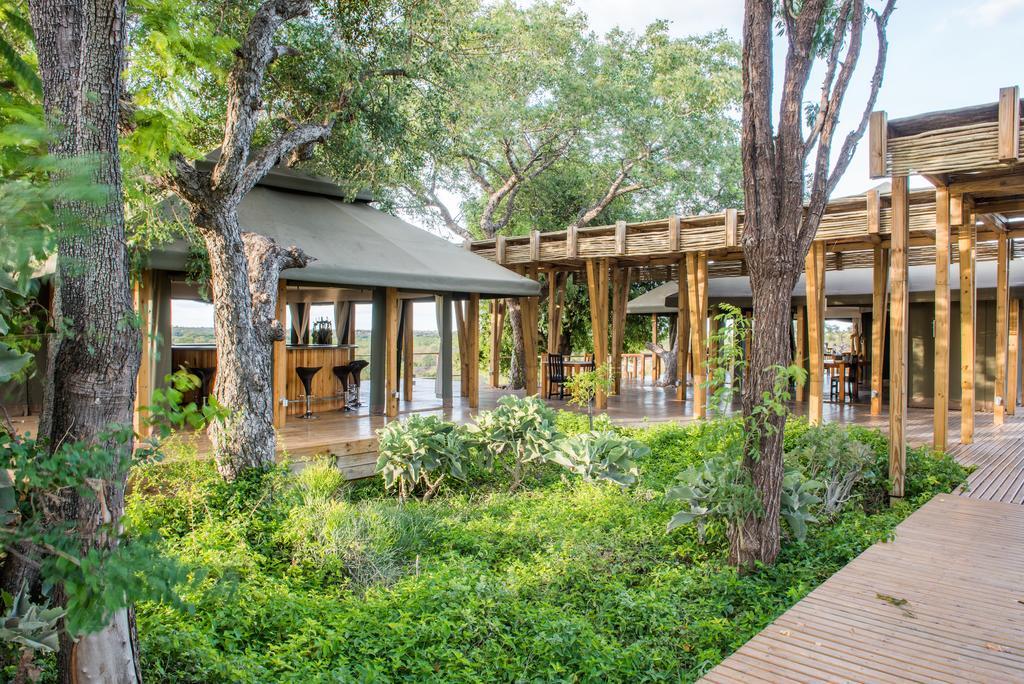 Simbavati Hilltop Lodge Timbavati Doğa Koruma Alanı Dış mekan fotoğraf