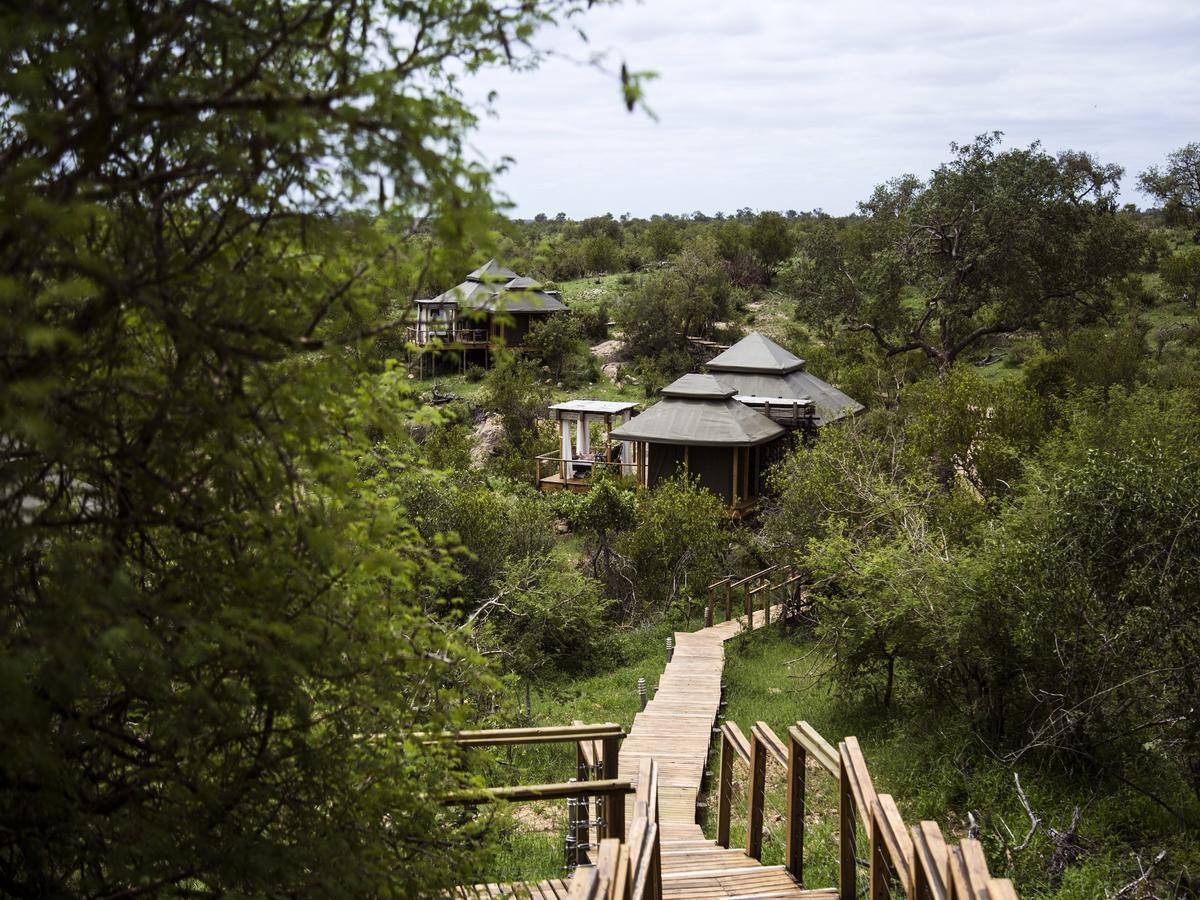 Simbavati Hilltop Lodge Timbavati Doğa Koruma Alanı Dış mekan fotoğraf