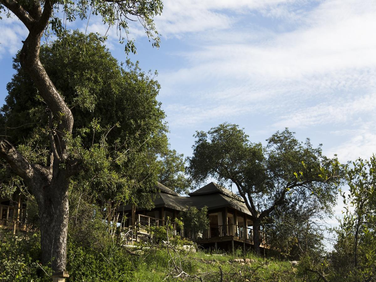 Simbavati Hilltop Lodge Timbavati Doğa Koruma Alanı Dış mekan fotoğraf