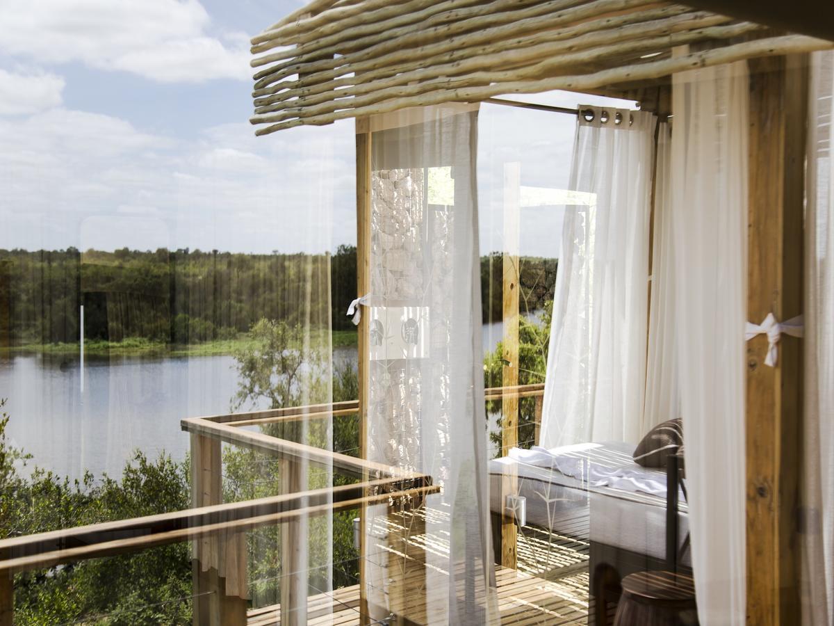 Simbavati Hilltop Lodge Timbavati Doğa Koruma Alanı Dış mekan fotoğraf