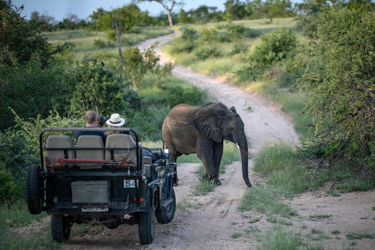 Simbavati Hilltop Lodge Timbavati Doğa Koruma Alanı Dış mekan fotoğraf